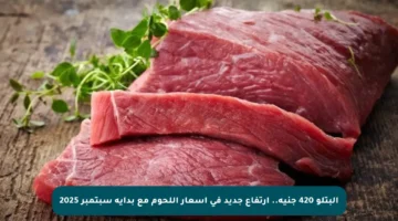 البتلو 420 جنيه.. ارتفاع جديد في أسعار اللحوم مع بداية سبتمبر 2025